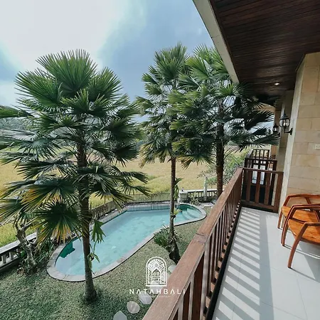 The Paddies Villa #4